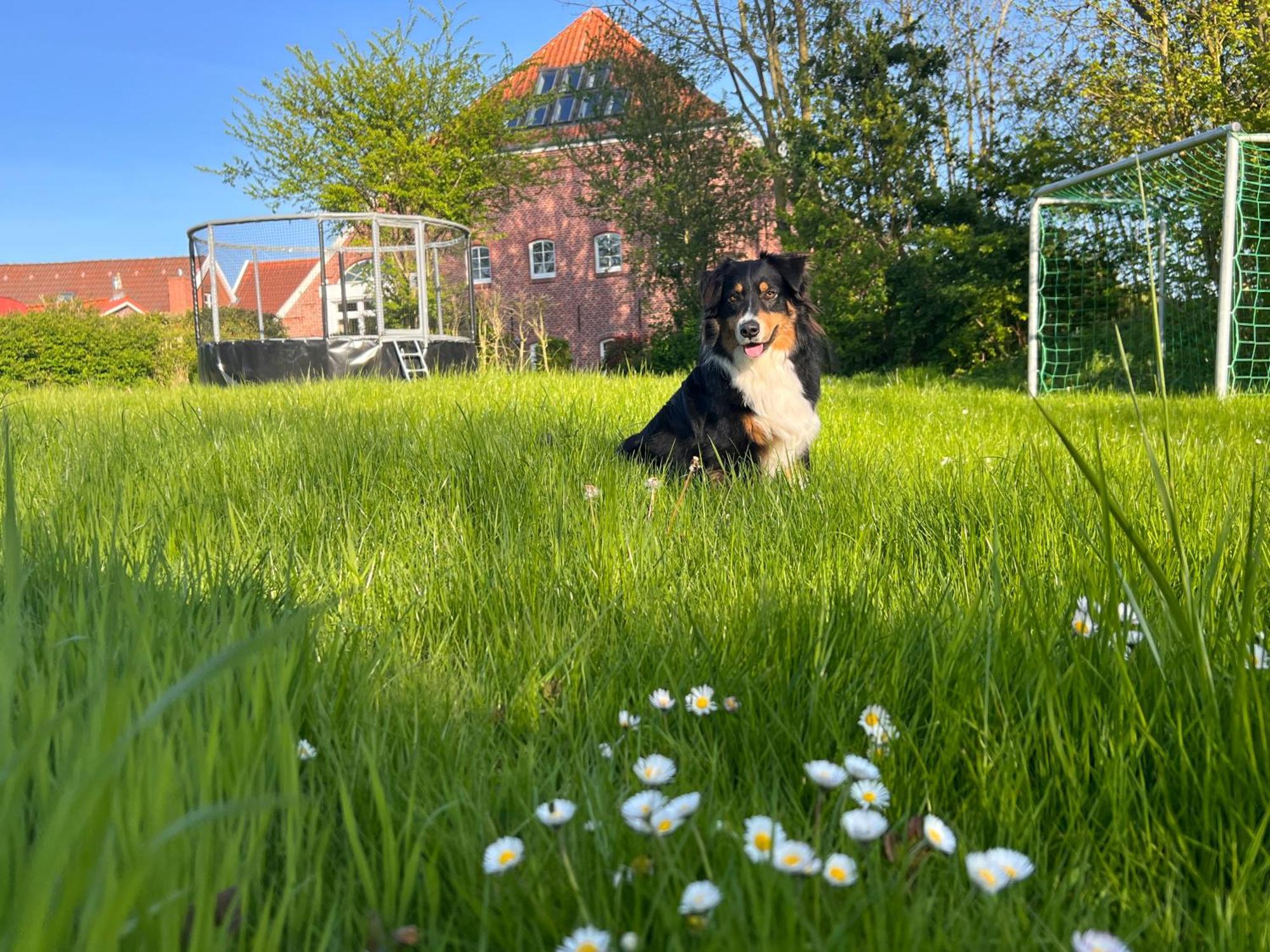 Milchkammer Krummhörn Esterno foto